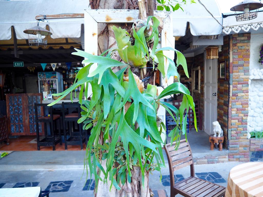 Stay With Me Pensión Chiang Mai Exterior foto