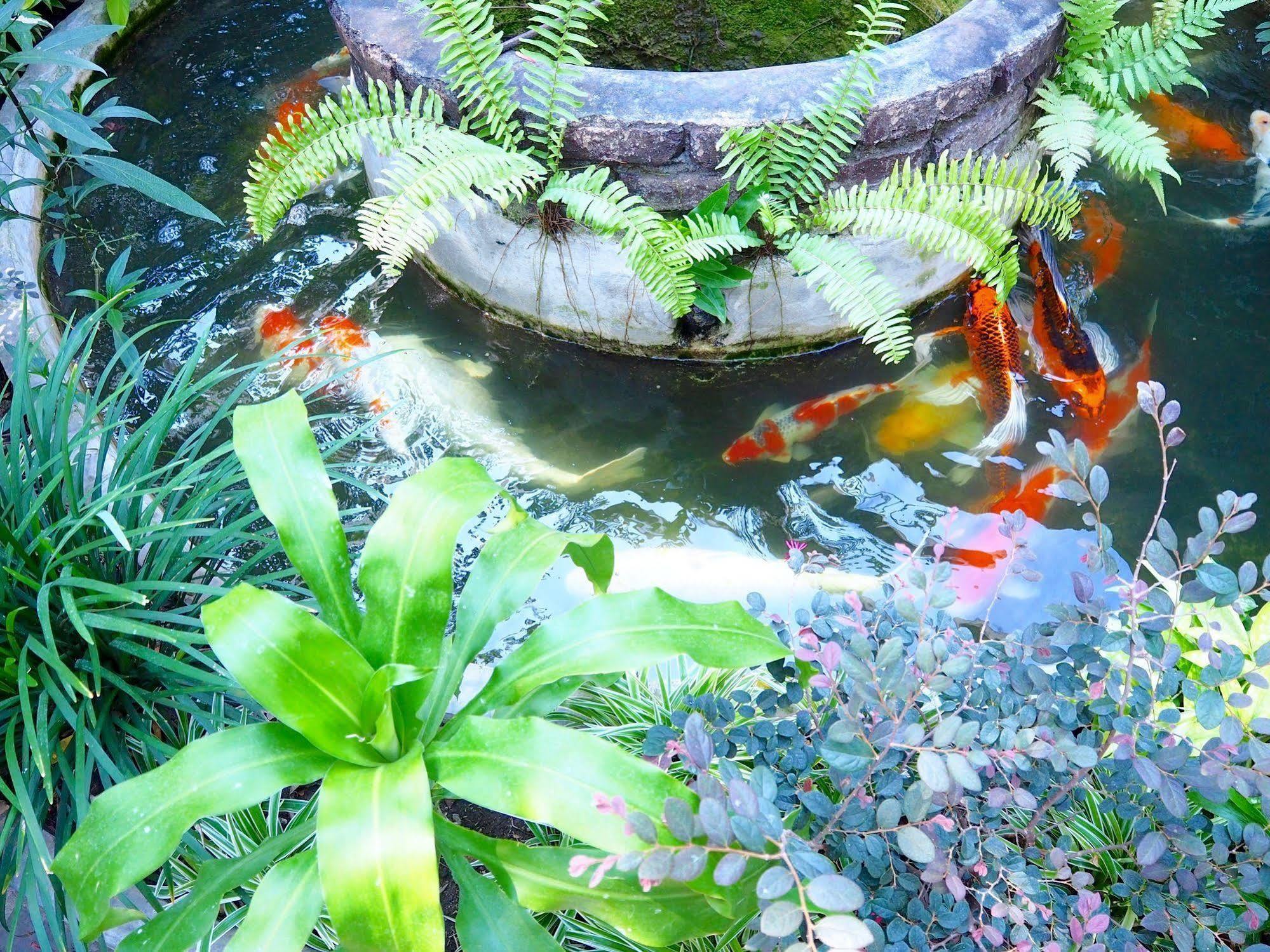 Stay With Me Pensión Chiang Mai Exterior foto